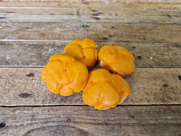 Oranje soes